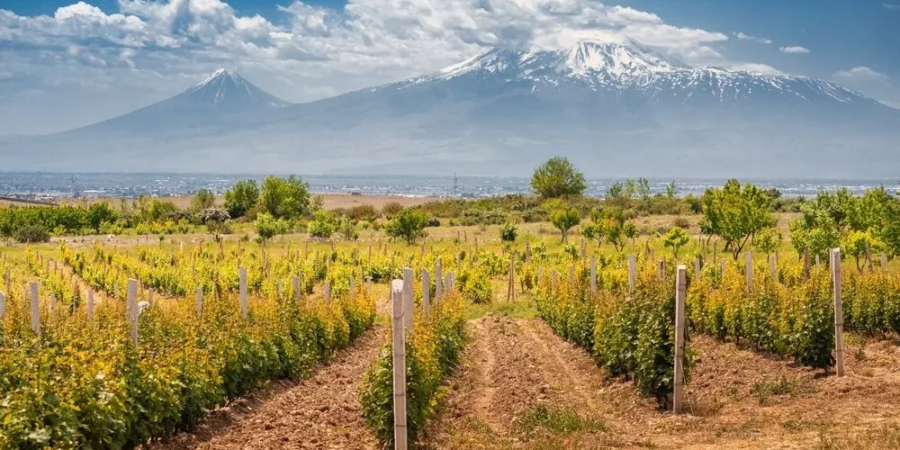 Armenië Wijn Ararat