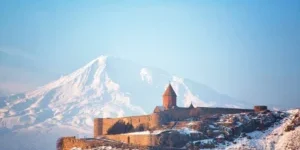 Shutterstock 1272513433 (1) Shutterstock 1272513433 (1)